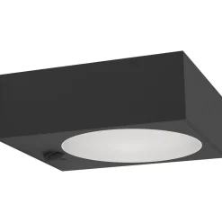 Aurinkokennoseinävalaisin tunnistimella Eglo Darfano, IP54, 4000K, alas, musta