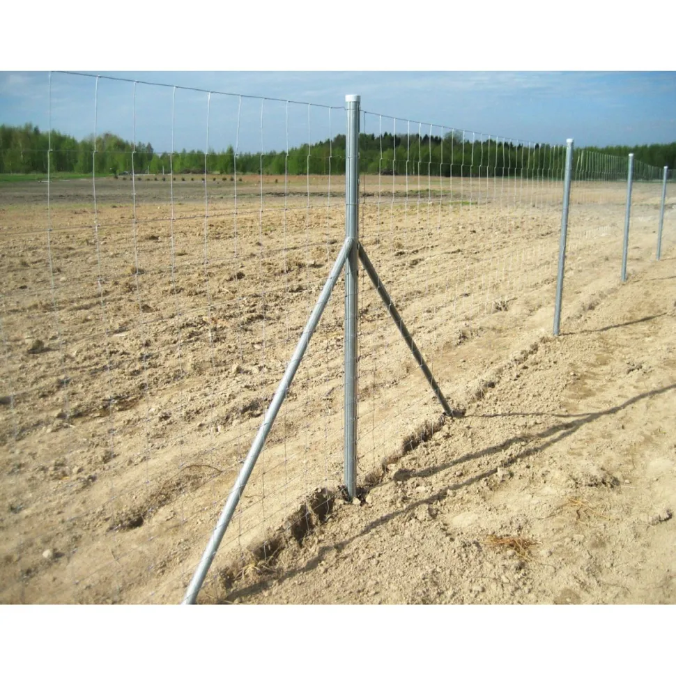 Eläinverkko Zn 1,2x50 m muuttuva silmäkoko (50 m)