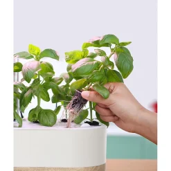 Hydroponinen vesiviljelyjärjestelmä Greenline Urban Growing P10