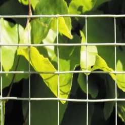 Jyrsijäverkko Hortus, 0,6x50 m harmaa rauta