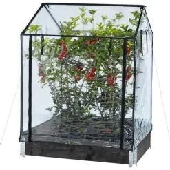 Kasvihuone lavakaulukselle Hortus 115x76x110/130 cm