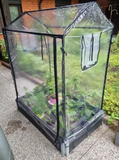 Kasvihuone lavakaulukselle Hortus 115x76x110/130 cm