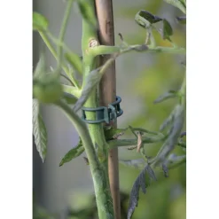 Kasvipidike Nelson Garden Strong, 12kpl