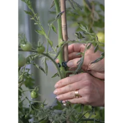 Kasvipidike Nelson Garden Strong, 12kpl