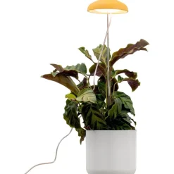 Kasvivalaisin Airam Iris, 5W, 240lm, IP20