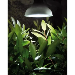Kasvivalo Nelson Garden LED-lamppu, 18W, E27