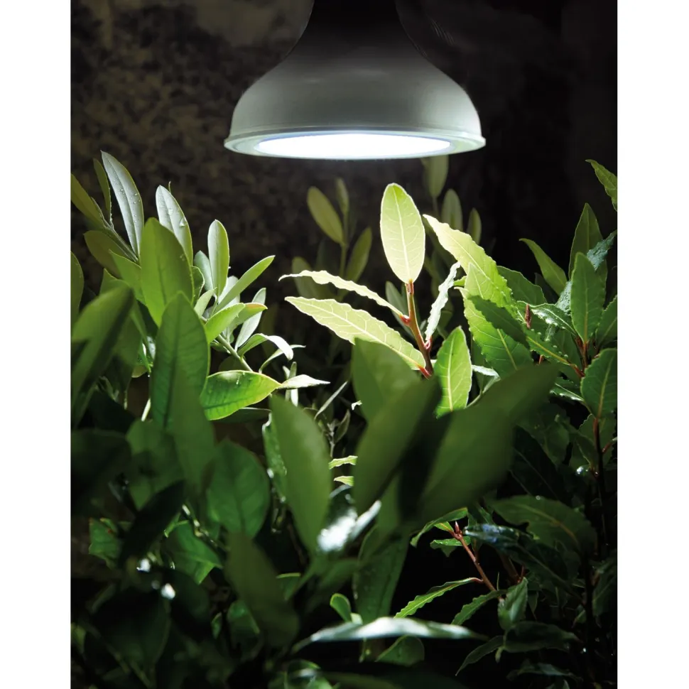 Kasvivalo Nelson Garden LED-lamppu, 18W, E27
