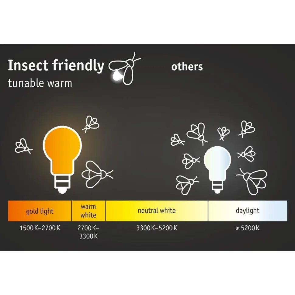 LED-ulkoseinävalaisin liike- ja hämärätunnistimella Paulmann Ikosea, Smart Home Zigbee 3.0, IP44, 5x20.3cm, säädettävä värilämpötila, antrasiitti