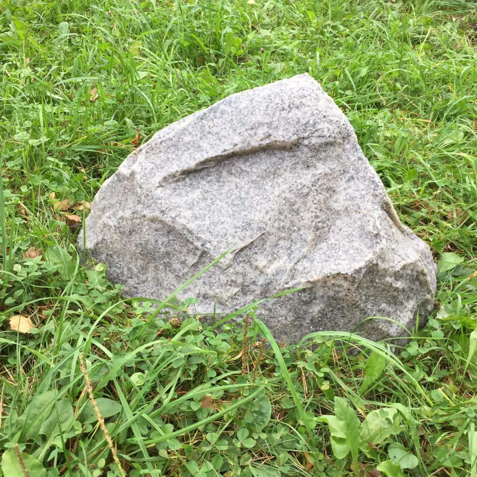 Maisemakivi Taidekivi D-30 Ø30cm harmaa lasikuitua