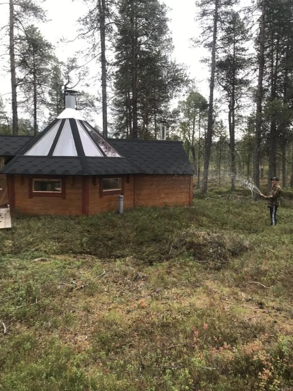Siirtovarvikko Kuntta