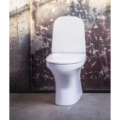 WC-istuin Gustavsberg Estetic 8300 piilo S/P-lukko, Hygienic Flush, C+, mattavalkoinen